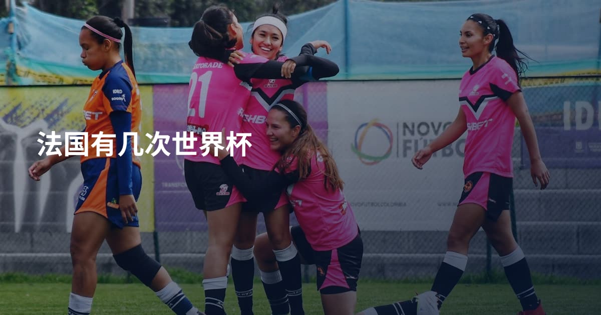 法国有几次世界杯