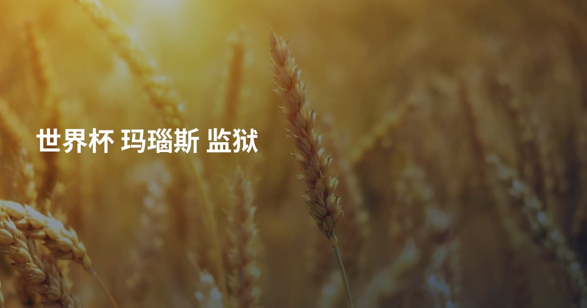 世界杯 玛瑙斯 监狱