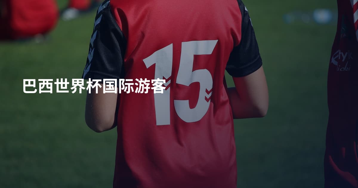 巴西世界杯国际游客