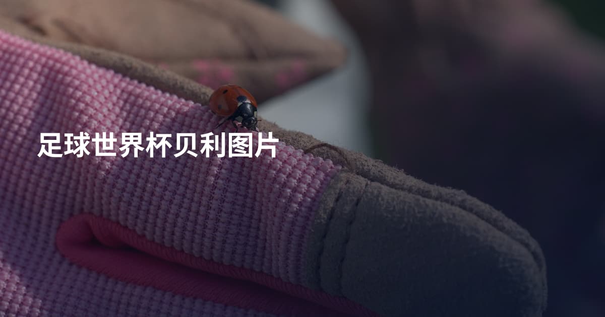 足球世界杯贝利图片