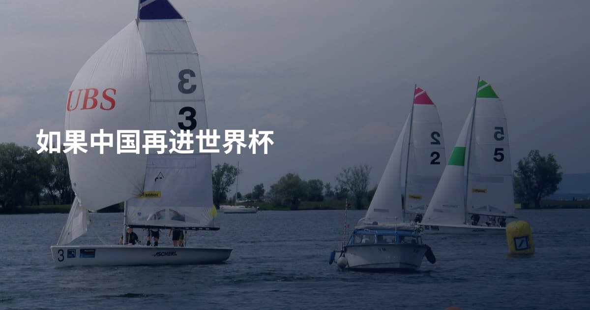 如果中国再进世界杯