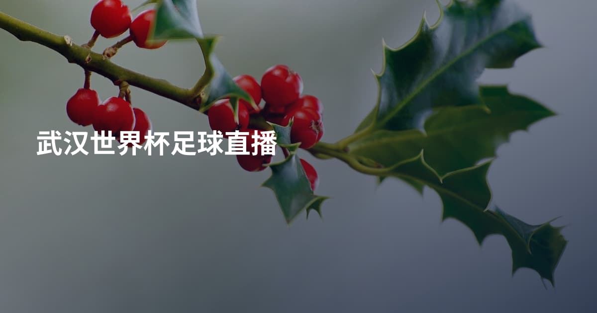 武汉世界杯足球直播