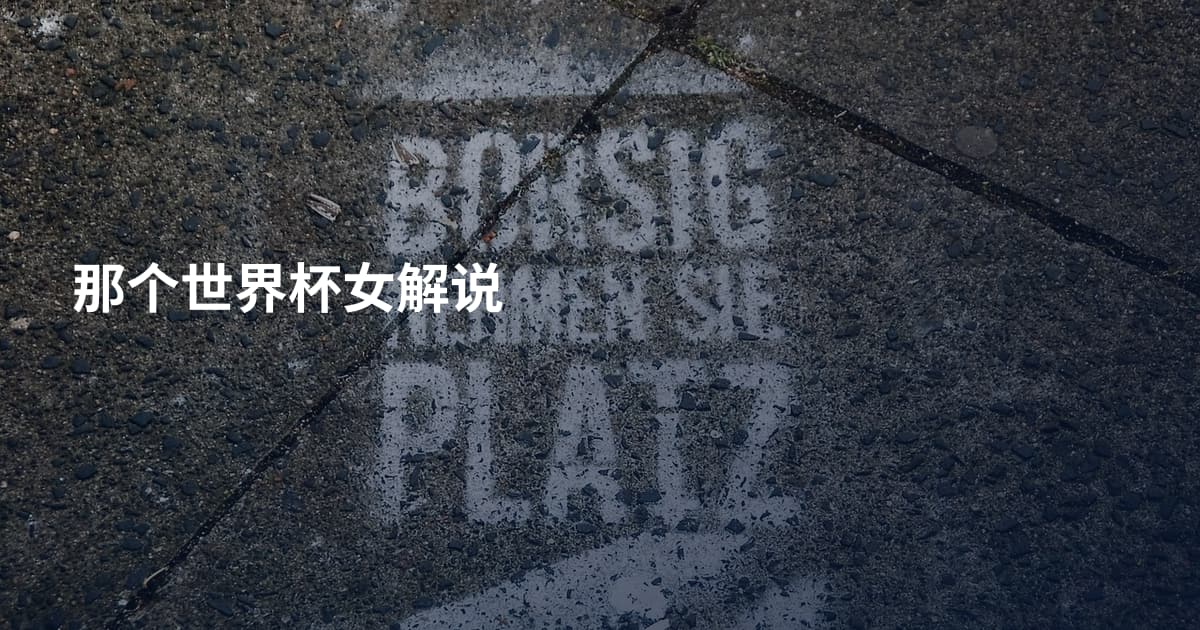 那个世界杯女解说
