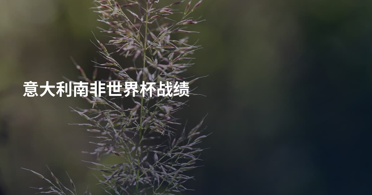 意大利南非世界杯战绩