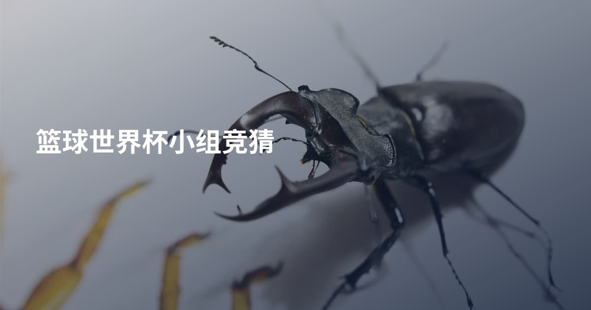 篮球世界杯小组竞猜