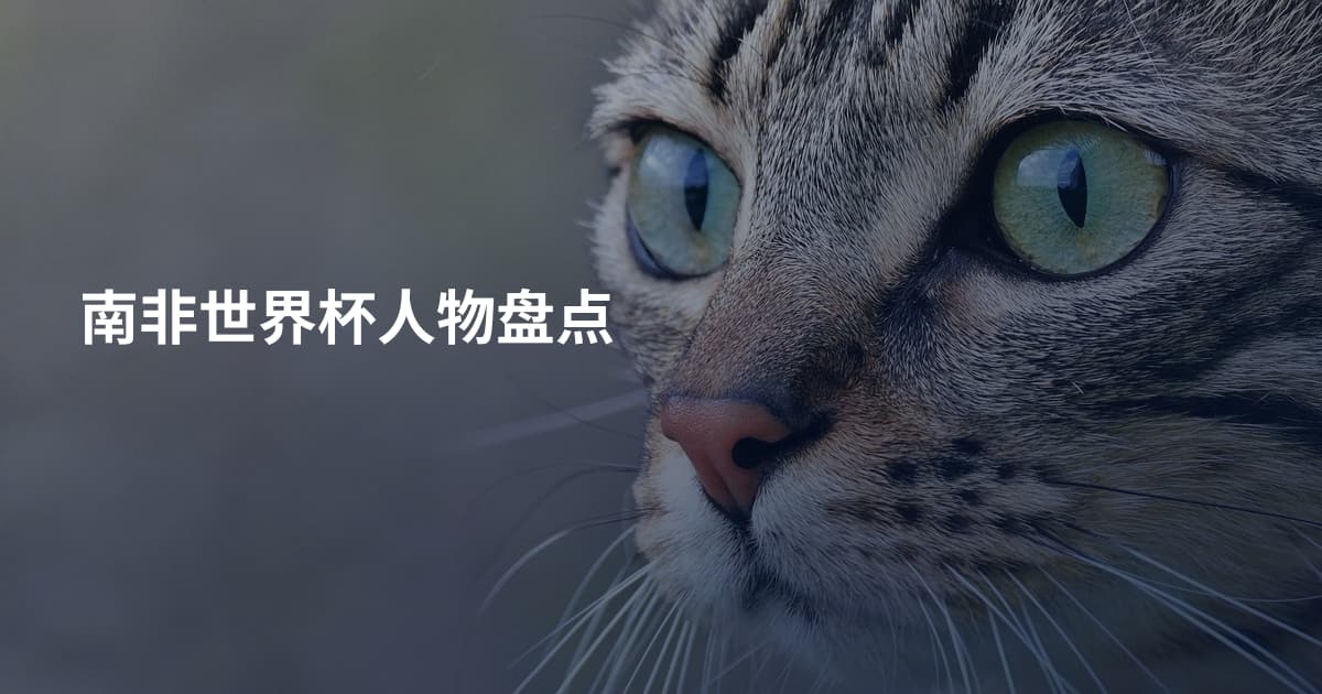 南非世界杯人物盘点