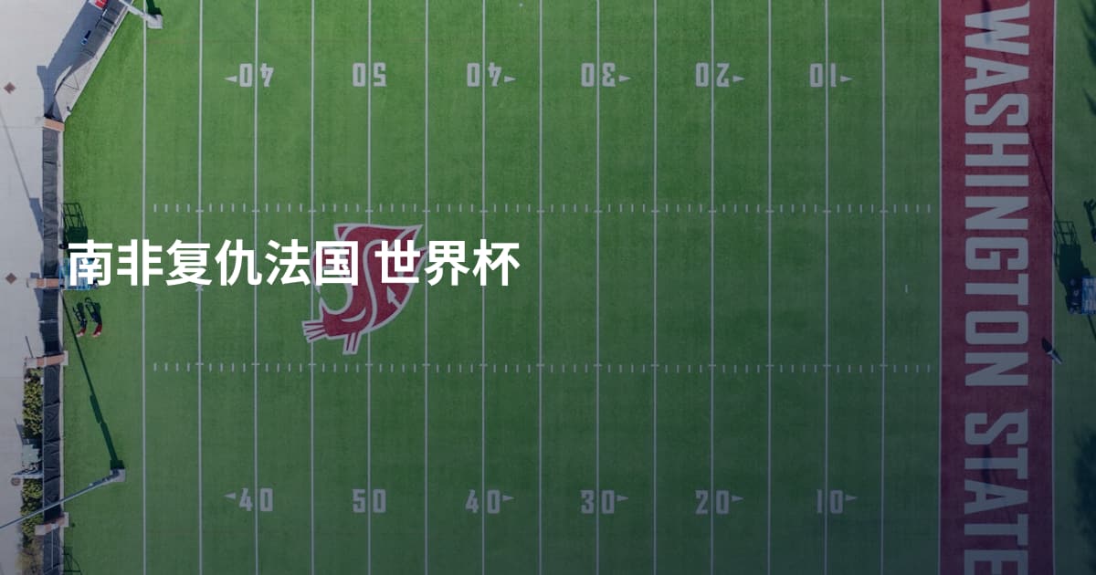 南非复仇法国 世界杯
