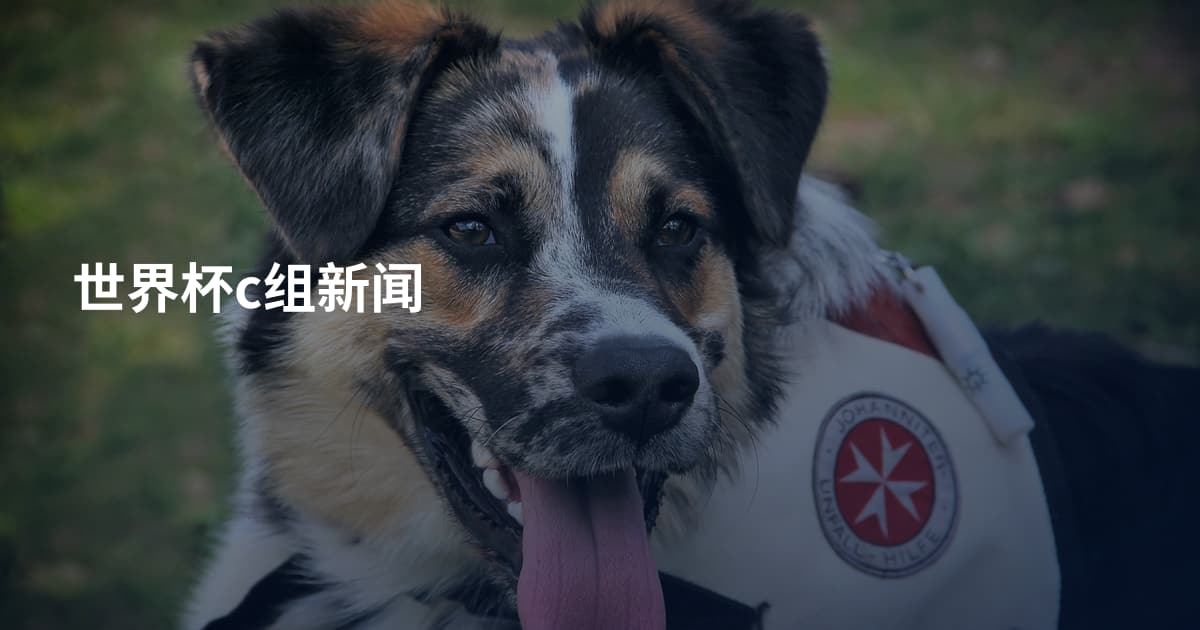 世界杯c组新闻