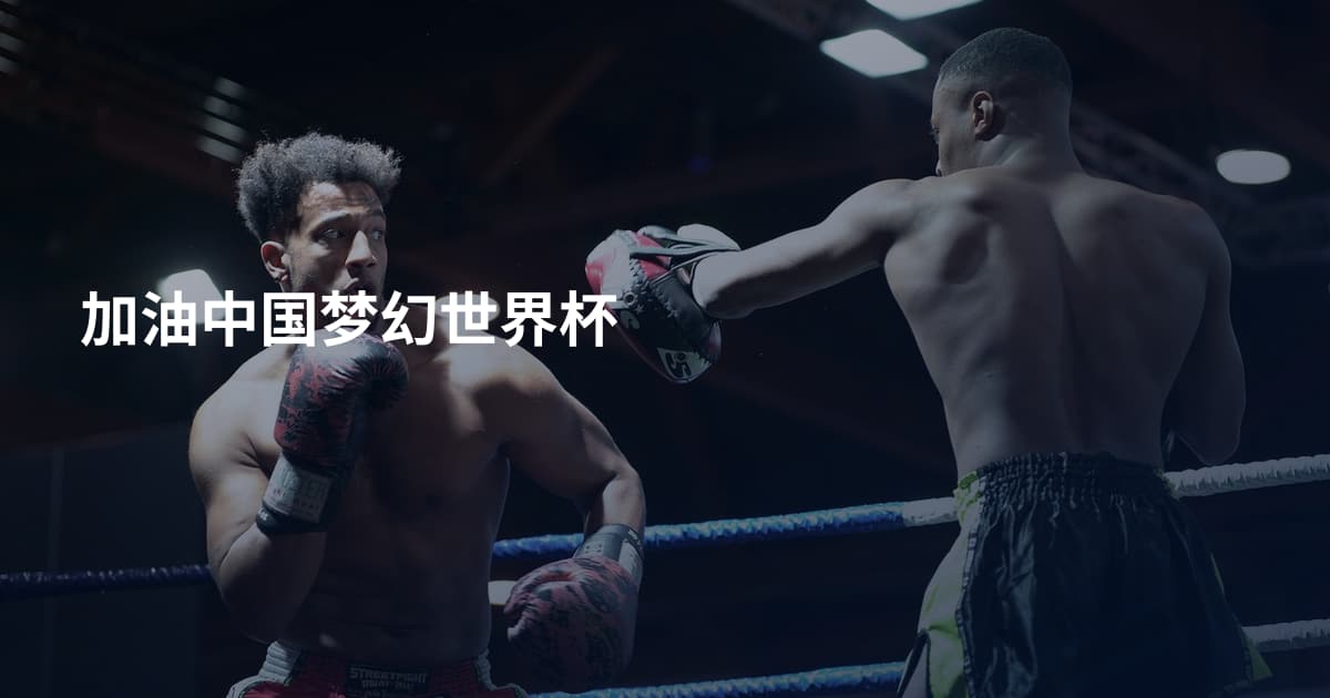 加油中国梦幻世界杯
