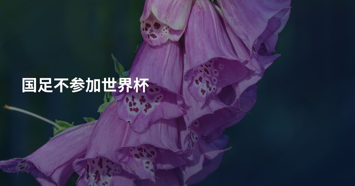 国足不参加世界杯