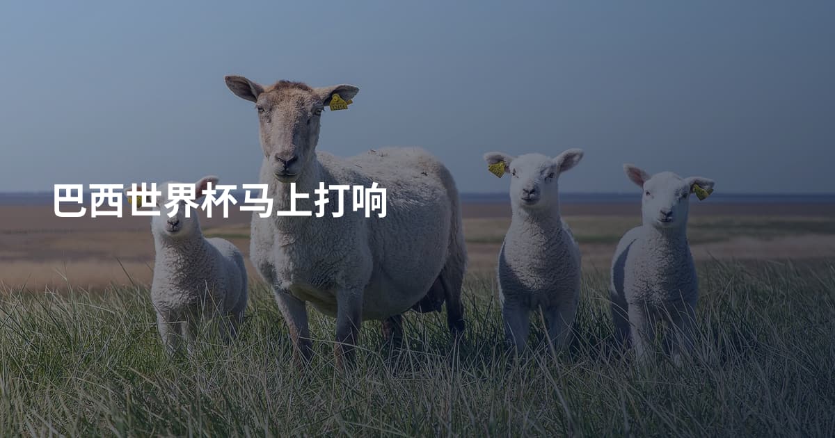 巴西世界杯马上打响