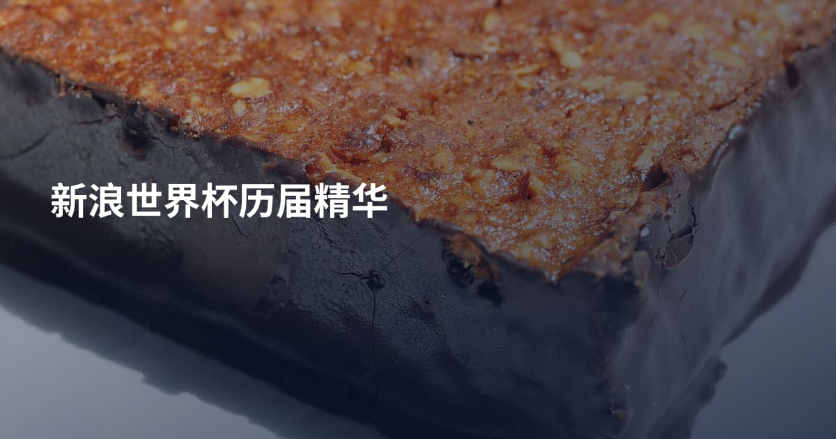 新浪世界杯历届精华
