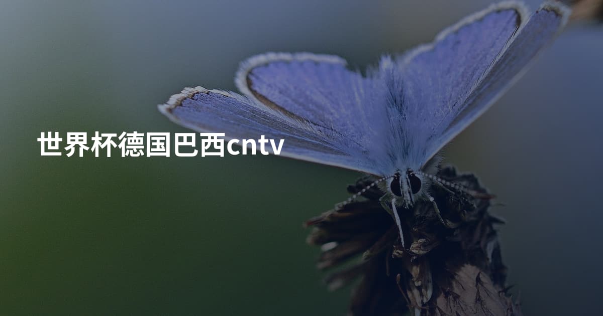 世界杯德国巴西cntv