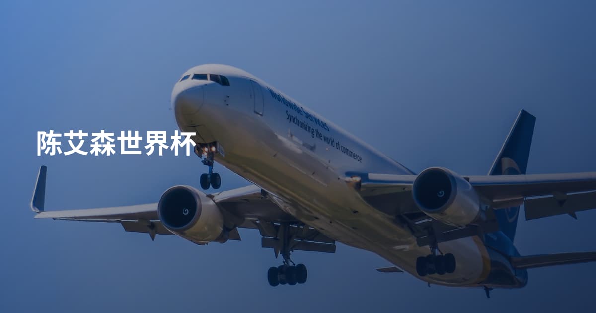 陈艾森世界杯