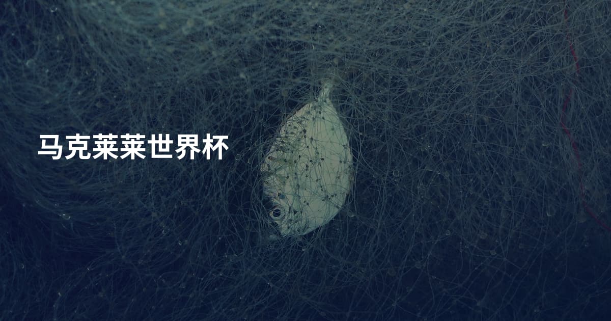 马克莱莱世界杯