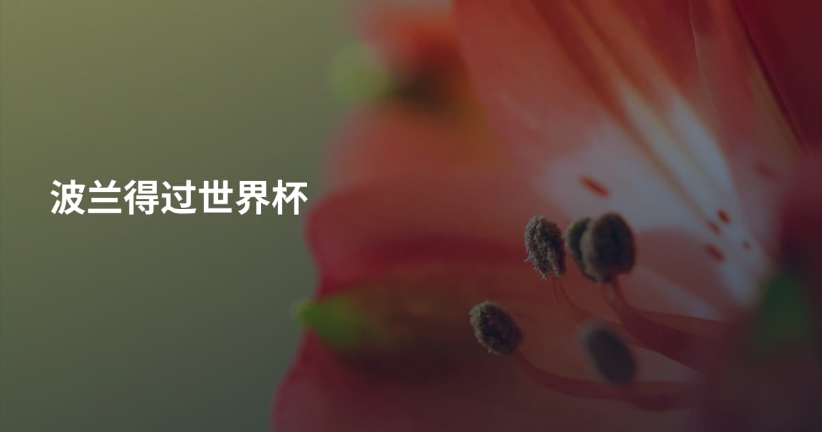 波兰得过世界杯