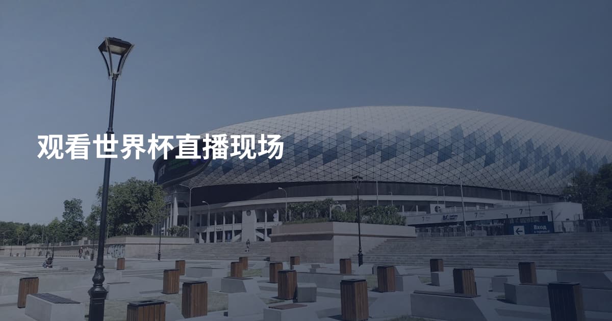 观看世界杯直播现场