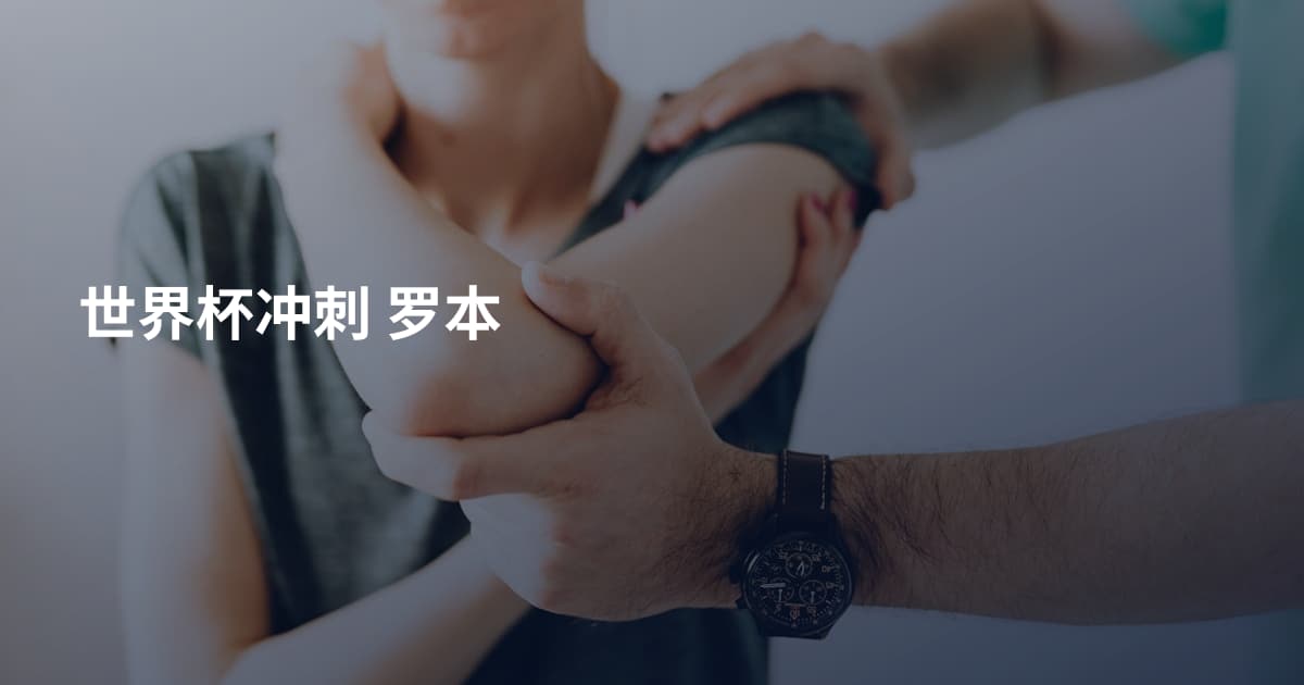 世界杯冲刺 罗本
