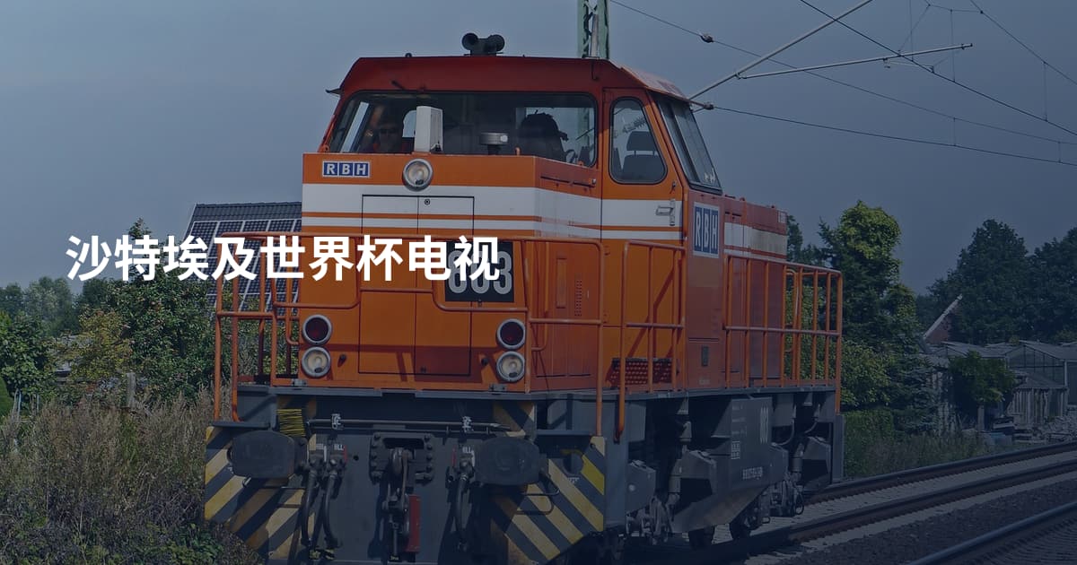 沙特埃及世界杯电视