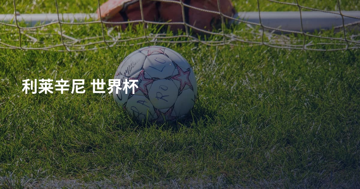 利莱辛尼 世界杯