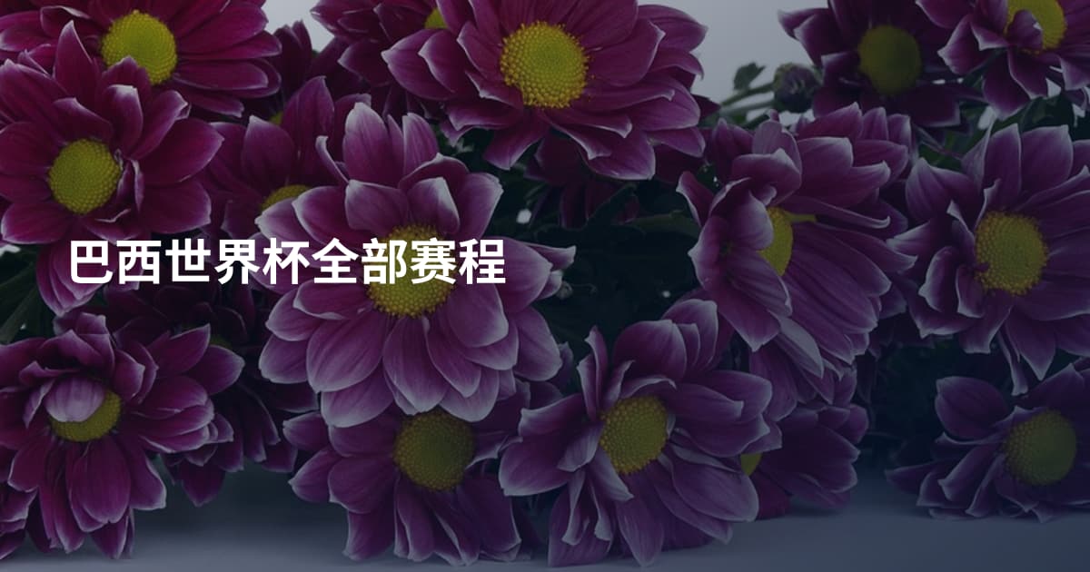 巴西世界杯全部赛程