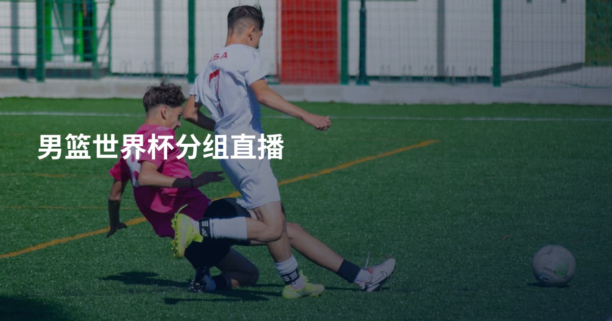 男篮世界杯分组直播