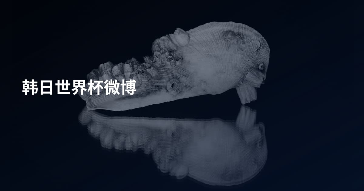 韩日世界杯微博