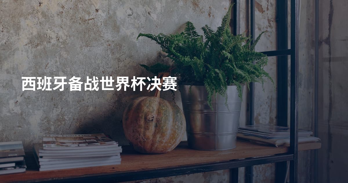 西班牙备战世界杯决赛