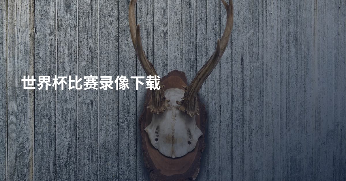 世界杯比赛录像下载