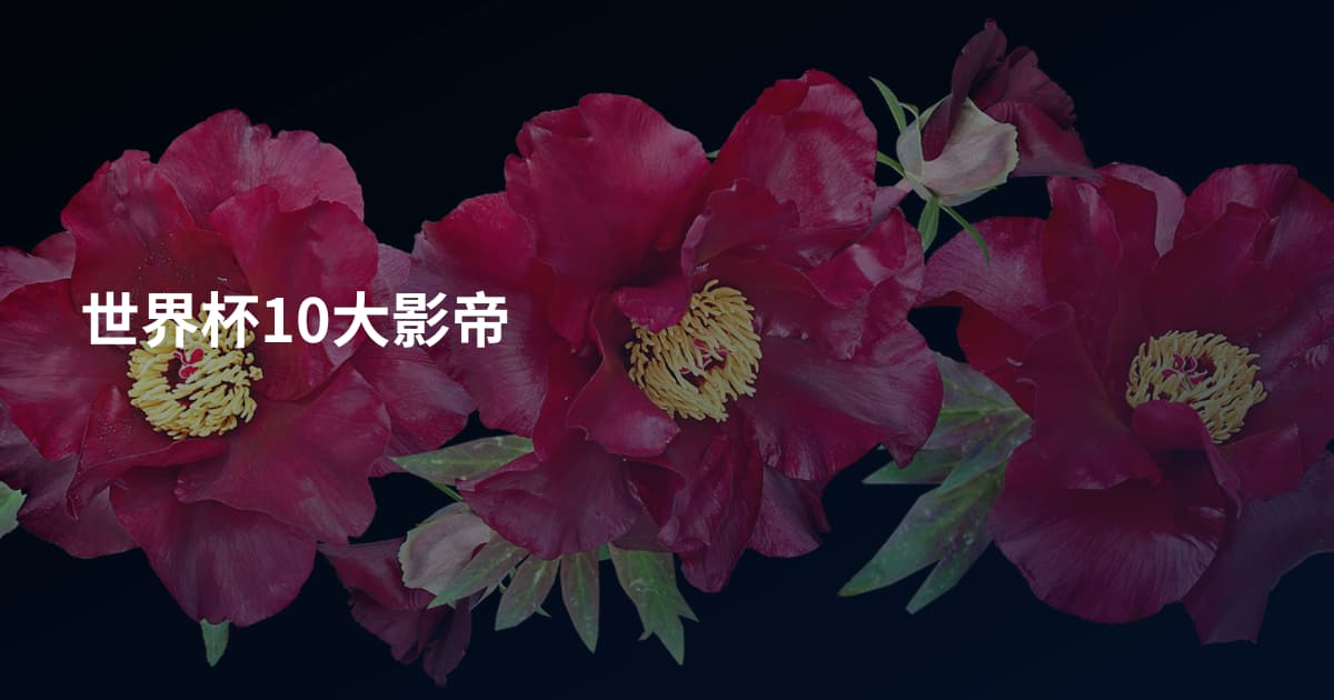世界杯10大影帝