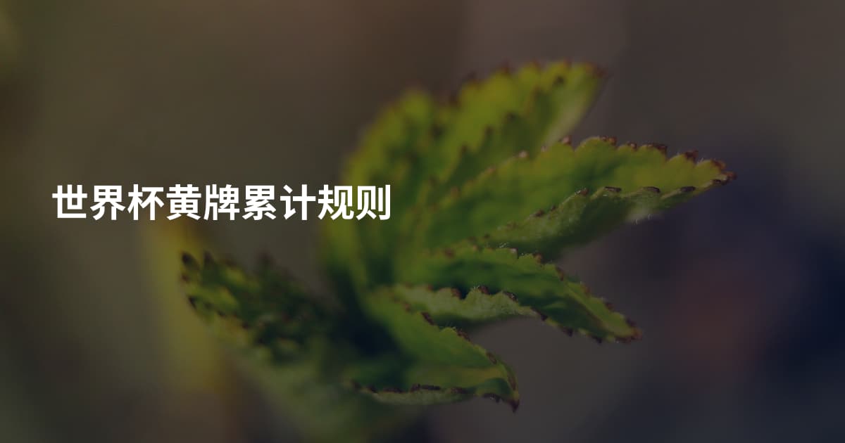 世界杯黄牌累计规则