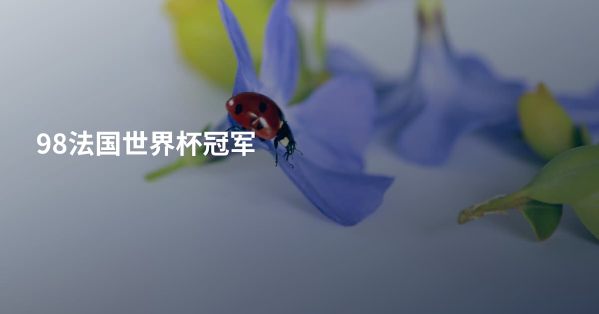 98法国世界杯冠军