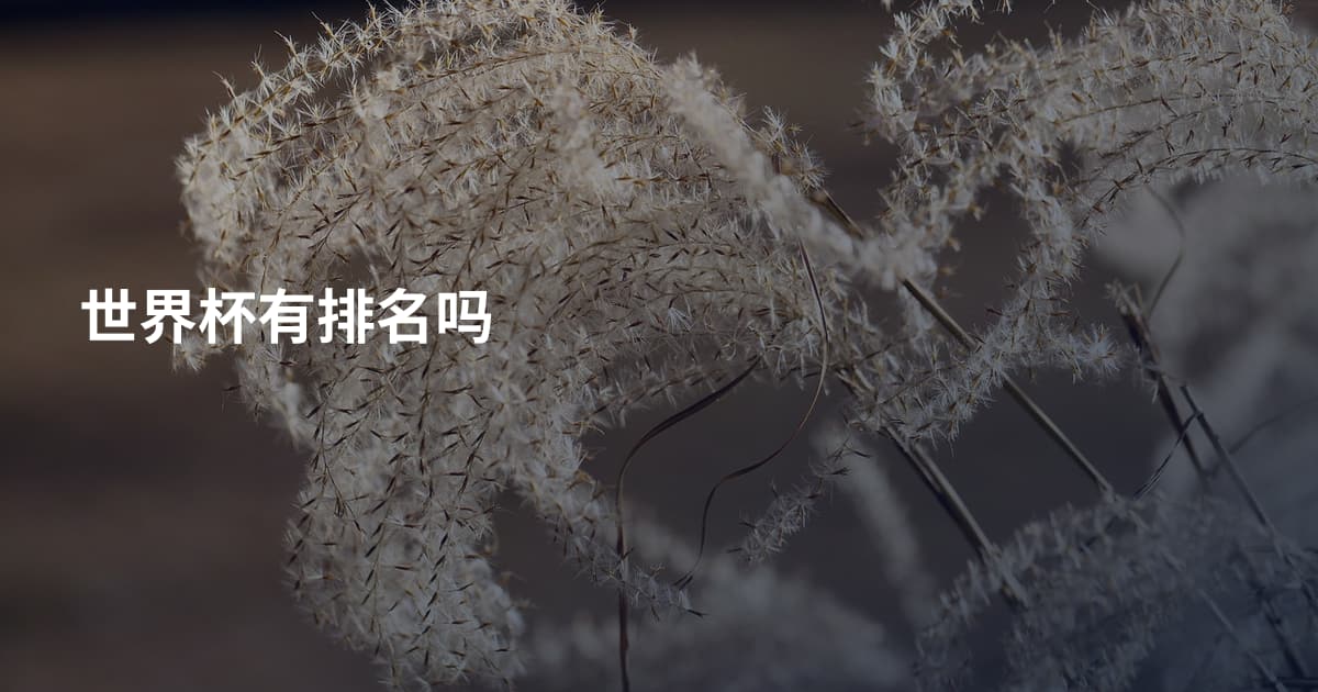 世界杯有排名吗