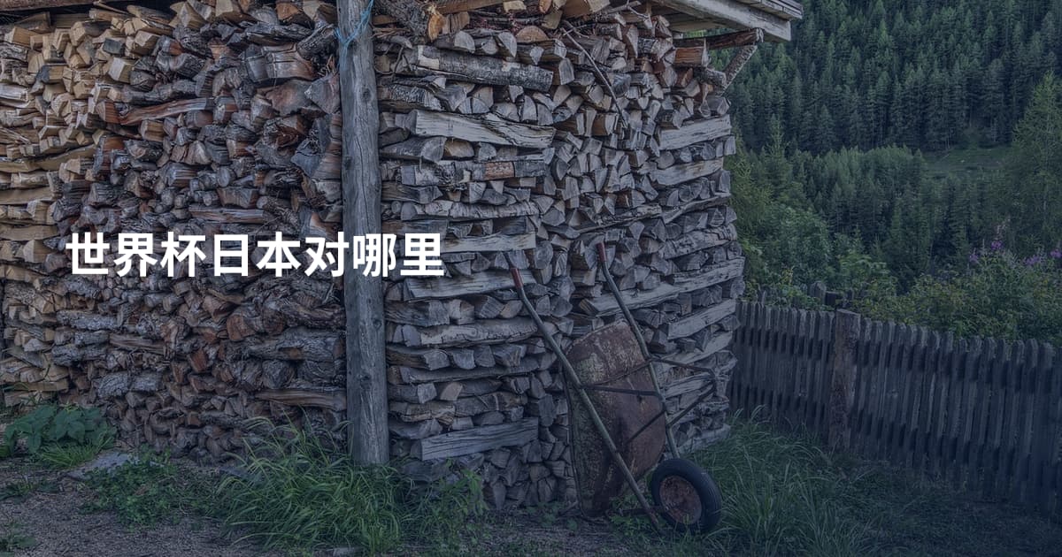 世界杯日本对哪里