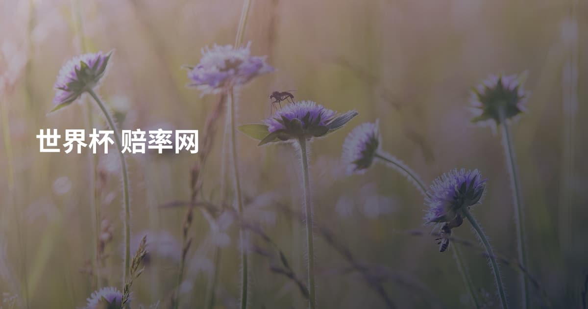世界杯 赔率网