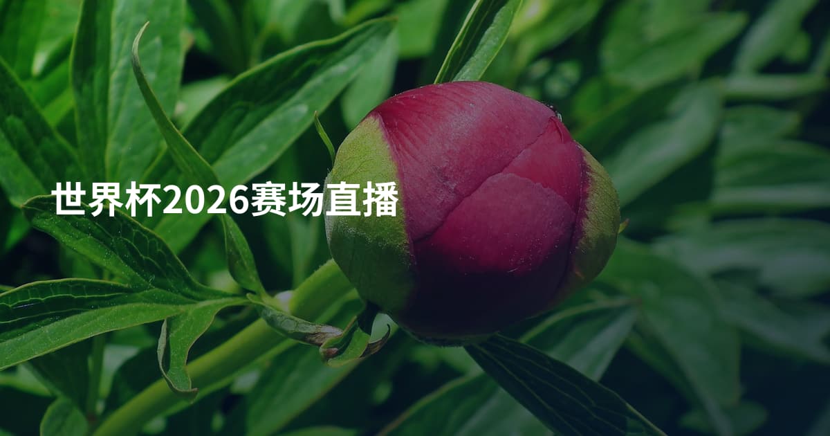 世界杯2026赛场直播