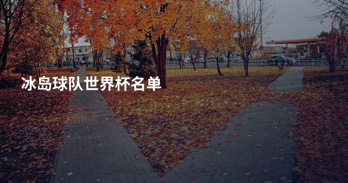 冰岛球队世界杯名单