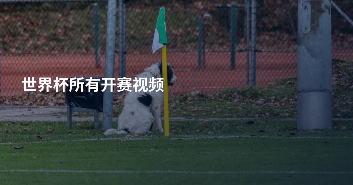世界杯所有开赛视频