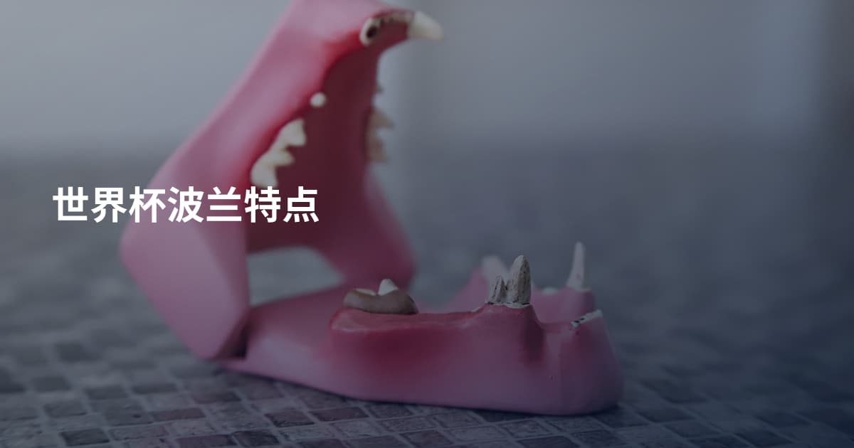 世界杯波兰特点