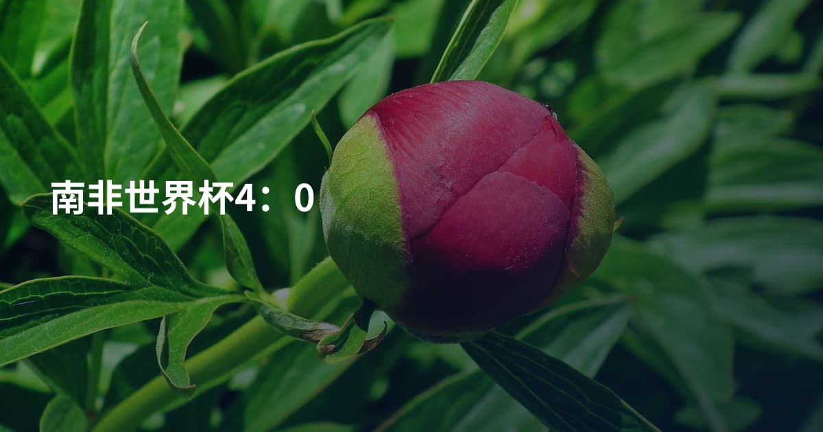 南非世界杯4：0