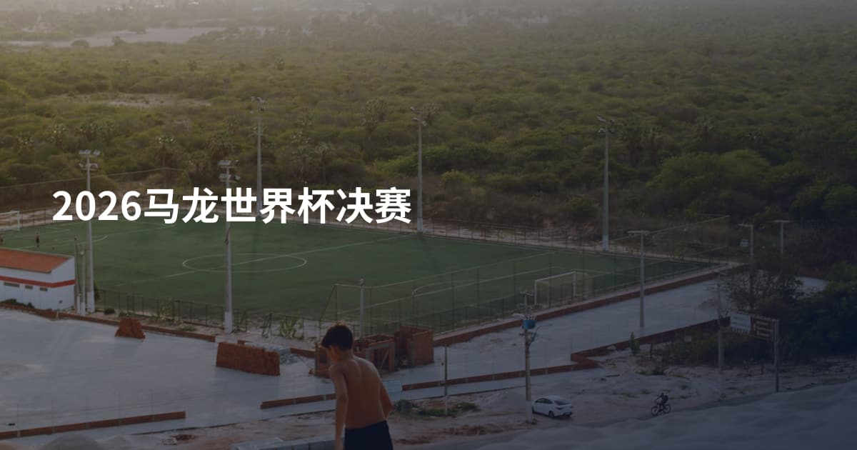 2026马龙世界杯决赛