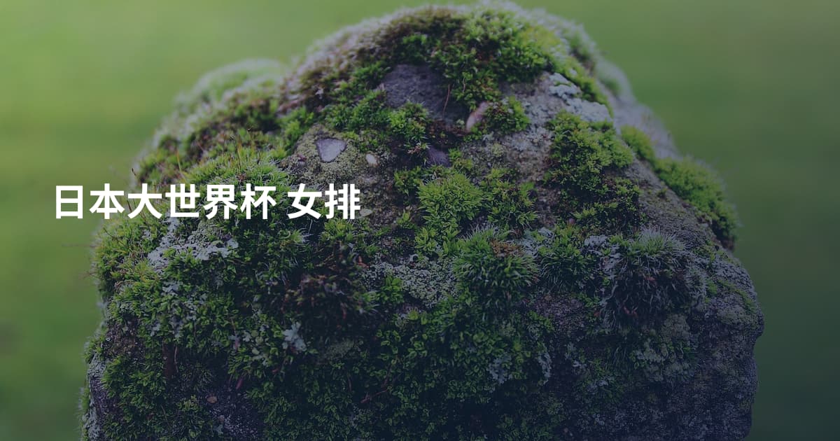日本大世界杯 女排