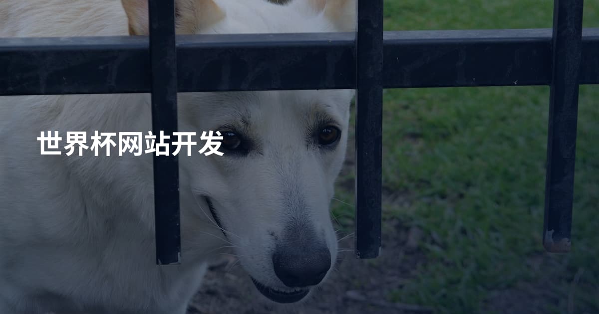 世界杯网站开发