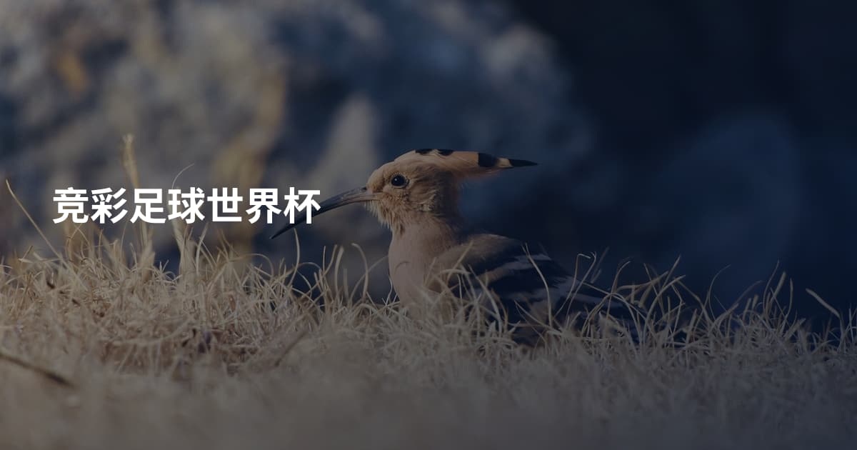 竞彩足球世界杯