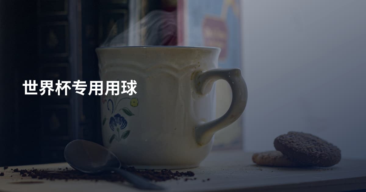 世界杯专用用球
