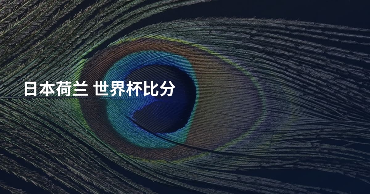 日本荷兰 世界杯比分
