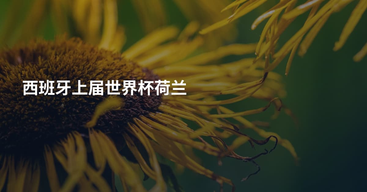 西班牙上届世界杯荷兰