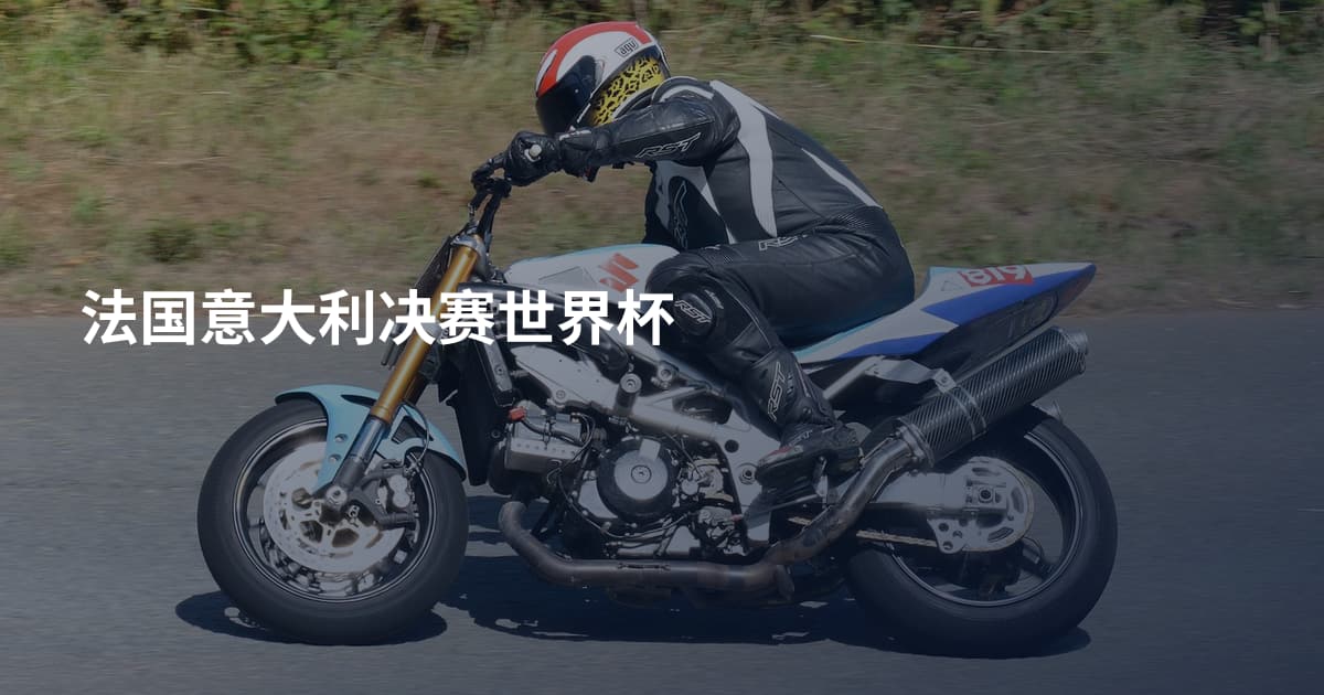法国意大利决赛世界杯