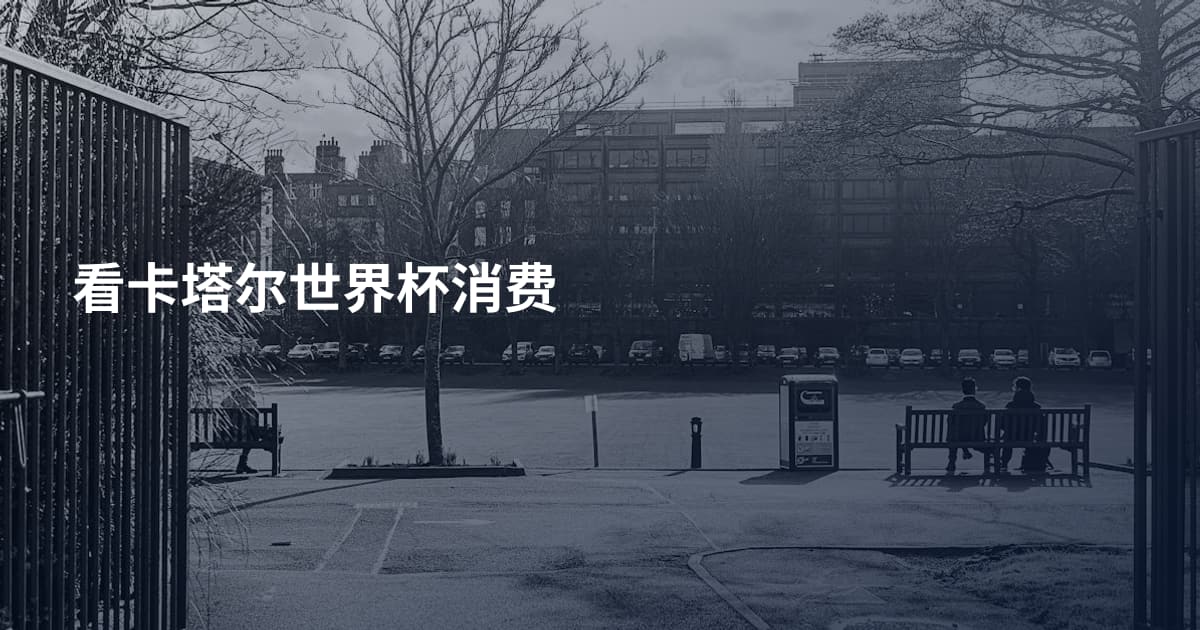 看卡塔尔世界杯消费