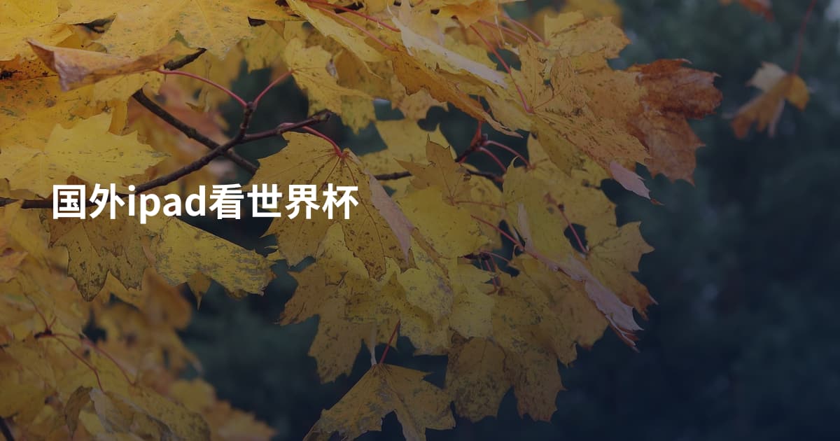 国外ipad看世界杯
